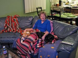 Brisco and Janis loved to sit in GLoria's lap.